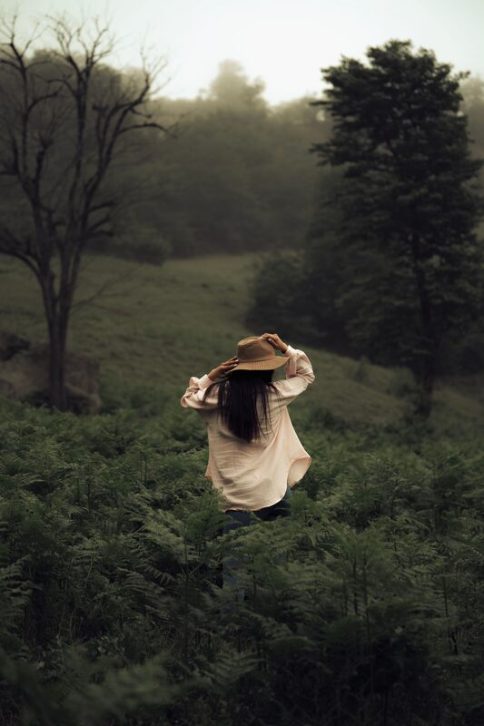 A woman seen from behind in a straw hat, walking through waist-high ferns toward misted hills.