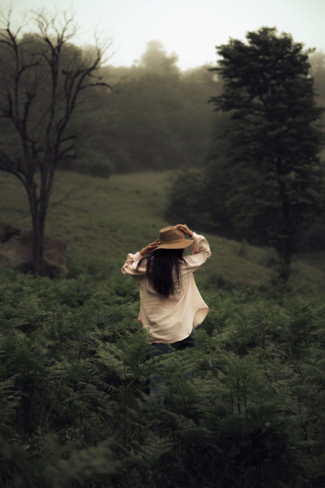 A woman seen from behind in a straw hat, walking through waist-high ferns toward misted hills.