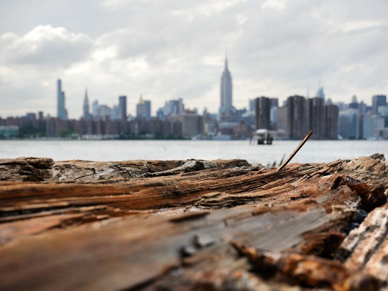 Weathered driftwood in sharp focus along the shoreline, a city skyline soft in the distance across the water.