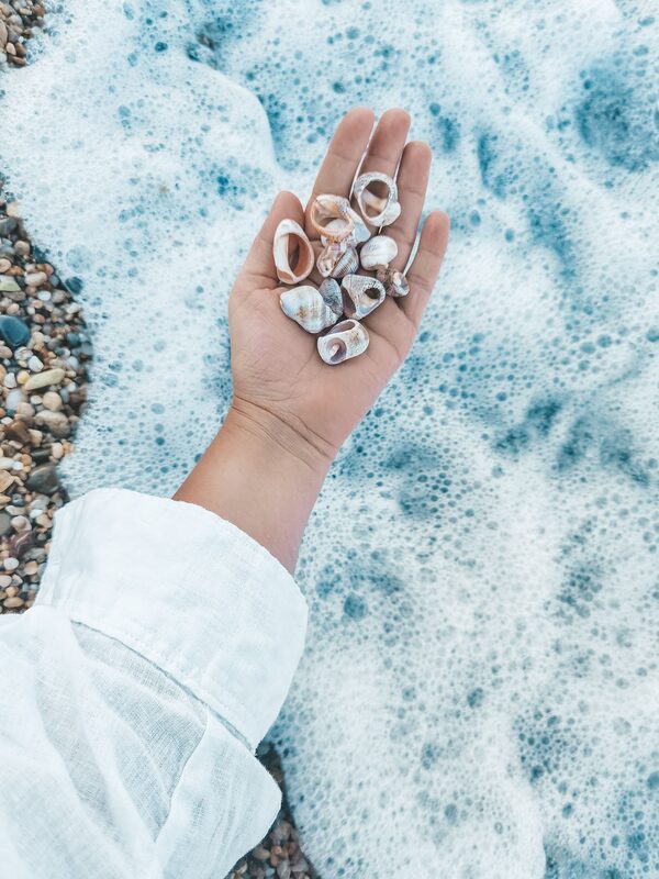 An open hand holding a few small shells, resting in shallow sea foam over pebbles.
